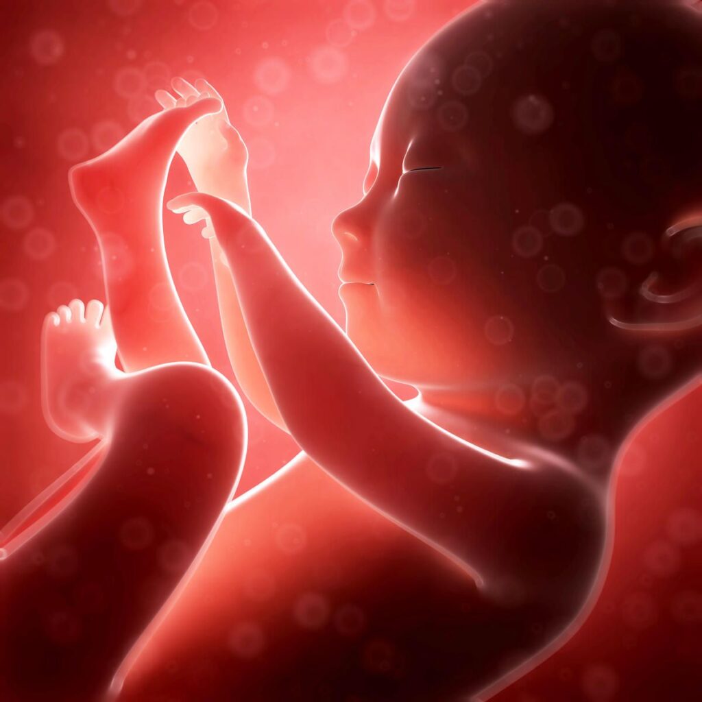 A baby is holding his hands up in the air.