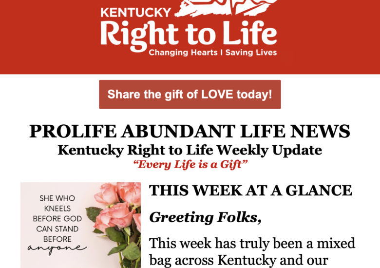Our Abundant Life: The Courts, the Nation, and the Commonwealth.