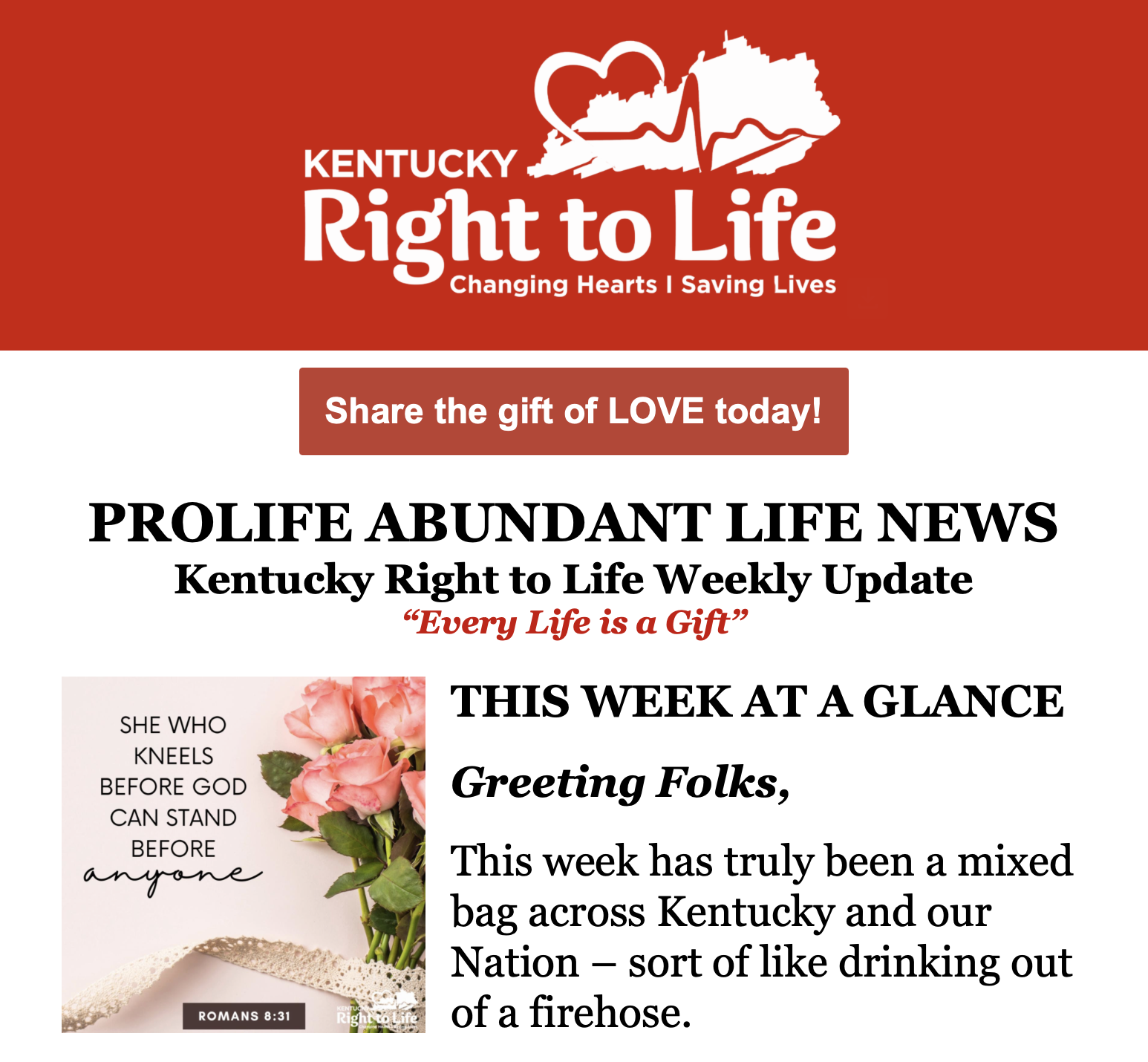 Our Abundant Life: The Courts, the Nation, and the Commonwealth.